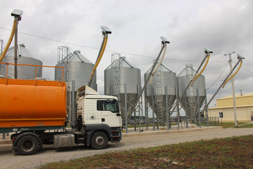 Pork production in Russia has been growing fast, like on this novel farm site in Lipetsk region. - Photo: Vincent ter Beek