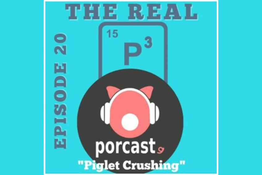Podcast: Practical ways to prevent pig crushing
