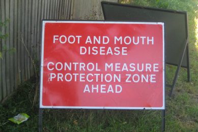 Foot-and-Mouth Disease caused movement bans throughout the UK in 2001. Photo: David Burch