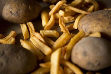 The Netherlands and surrounding countries have a strong potato processing industry, e.g. for the production of chips. The skins can be a good basis for pig feed. Photo: Jan Willem Schouten