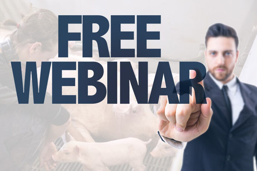 Coming soon: Webinar about free farrowing