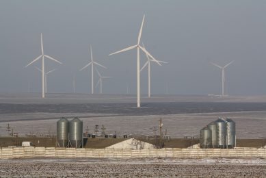 The breeding farm, located near Fântânele, is located in the middle of a windmill park.