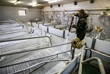 An employee is cleaning and disinfecting a lactation unit. - Photo: Ronald Hissink