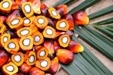 PKFAD is a by-prodcut of the physical refining of palm kernel oil. Photo: Mavesa