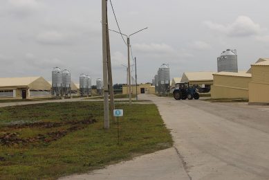 One of many modern pig farms in the area south of Moscow. - Photo: Vincent ter Beek