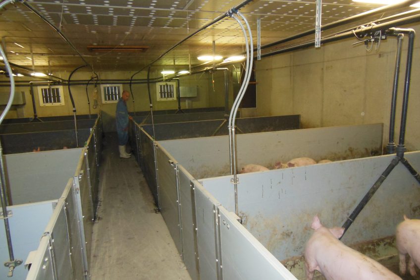 A finishing room on slatted floors at Crécom.