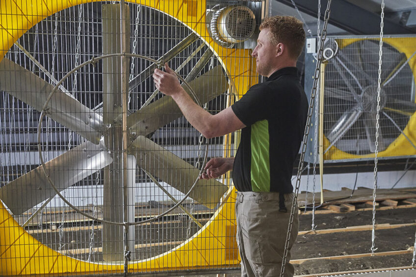 Nozzles with fans - an example of how heat stress can be relieved in pig houses. - Photo: Van Assendelft Fotografie