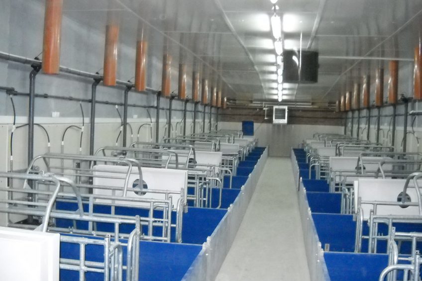 Swine farm that is about to be taken in use in Kazakhstan. - Photo: Friedrich-Wilhelm Busse