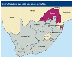 The South African way of dealing with ASF