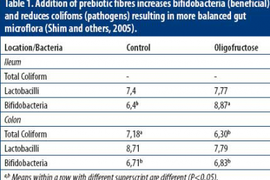 Understanding inulin and oligofructose in piglet diets