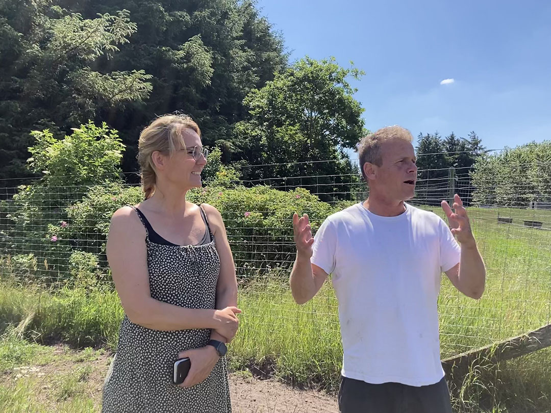 Bertel and Marianne Hestbjerg own Hestbjerg Økologi, Denmark’s largest organic pig farm, situated in Holstebro, It measures 1,000 ha. The farm has 1,500 sows at 3 locations and produces 27,000 organic pigs per year. Sows and piglets roam on grass and between poplar trees, a fast-growing tree species well-suited for free range pig production. An area of 200–300 ha is dedicated to wetland, forest and insect areas and is not used for farm land.