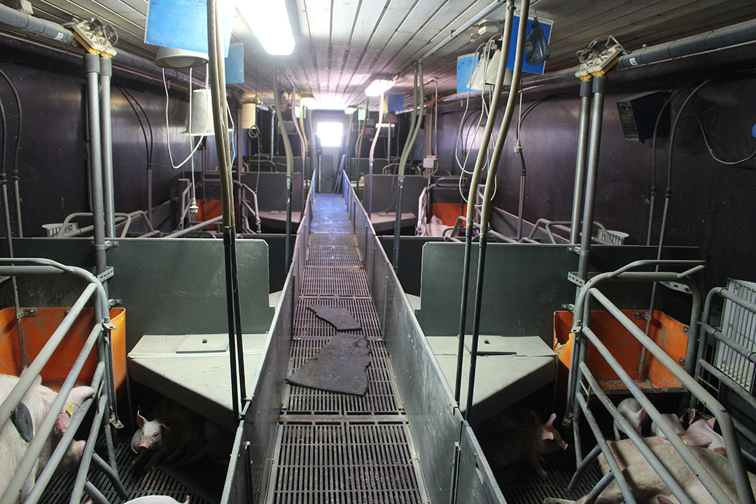 A quick look inside the containers used for lactation purposes.