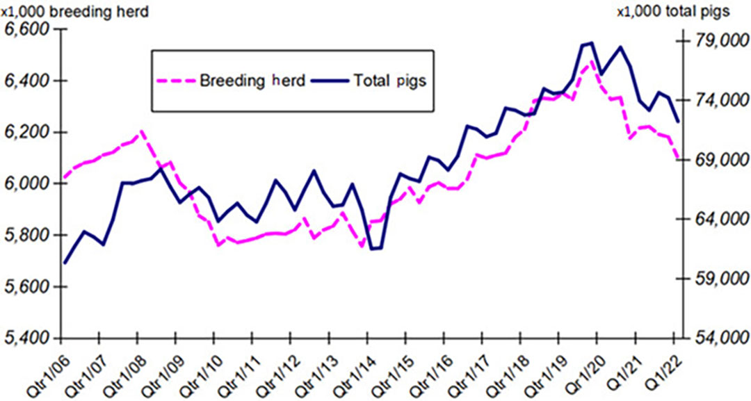 Figure 5 - US total pigs & breeding herd, 2006-March 2022.