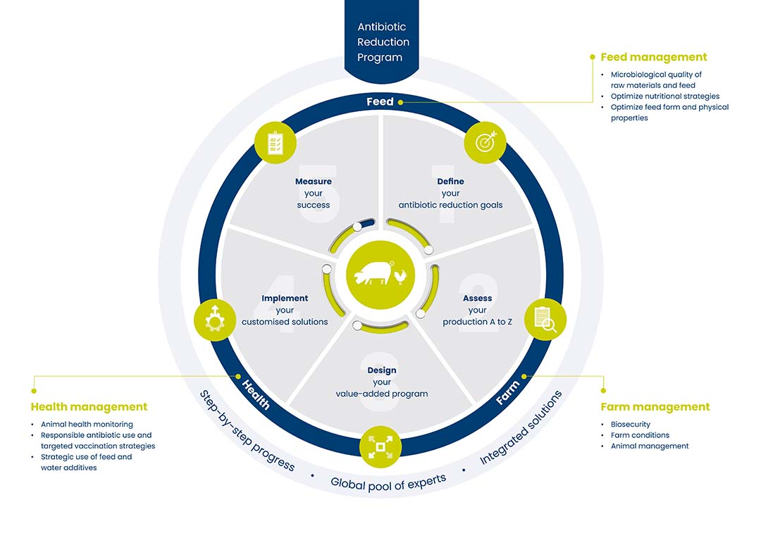 An incremental 5-step approach has been shown to improve animal health and performance to reduce the need for antibiotics.