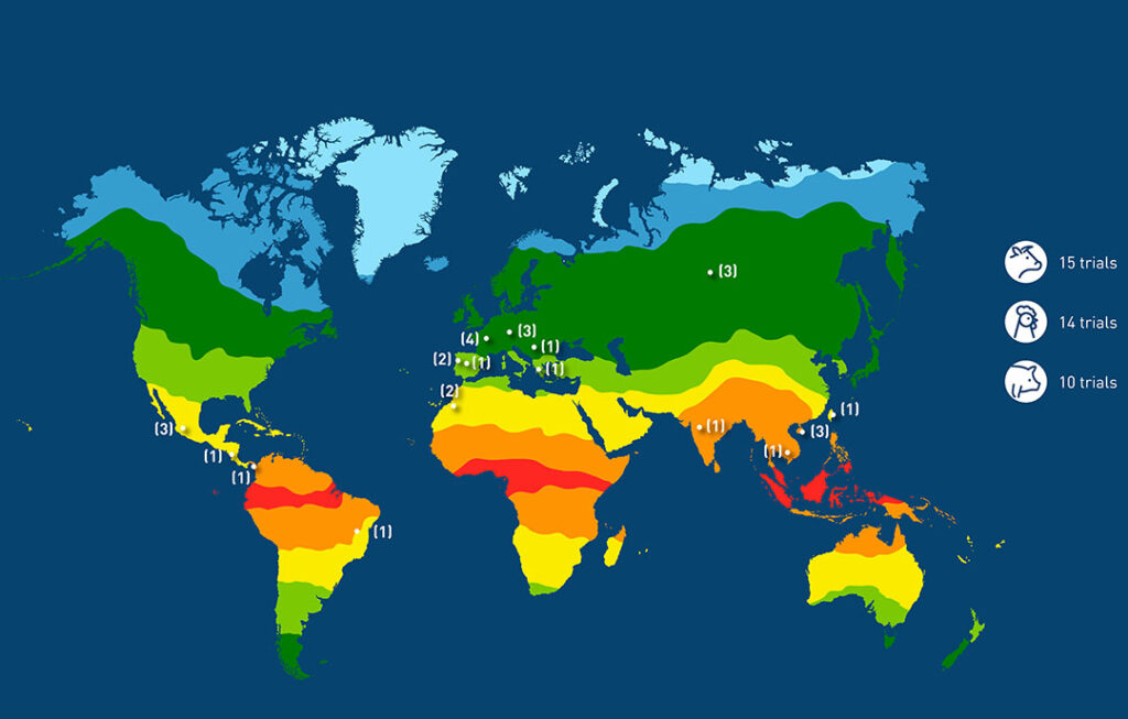 CCPA heat stress solutions have been successfully tested worlwide, in a wide variety of farm and climate conditions. Photo: CCPA